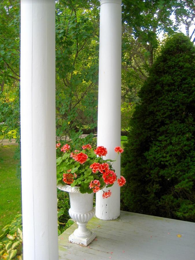 Millbrook Country House Buitenkant foto