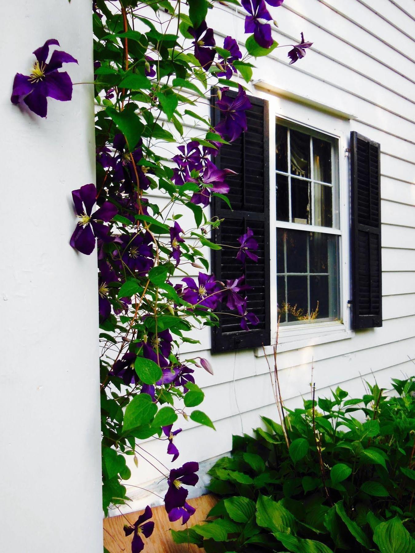 Millbrook Country House Buitenkant foto