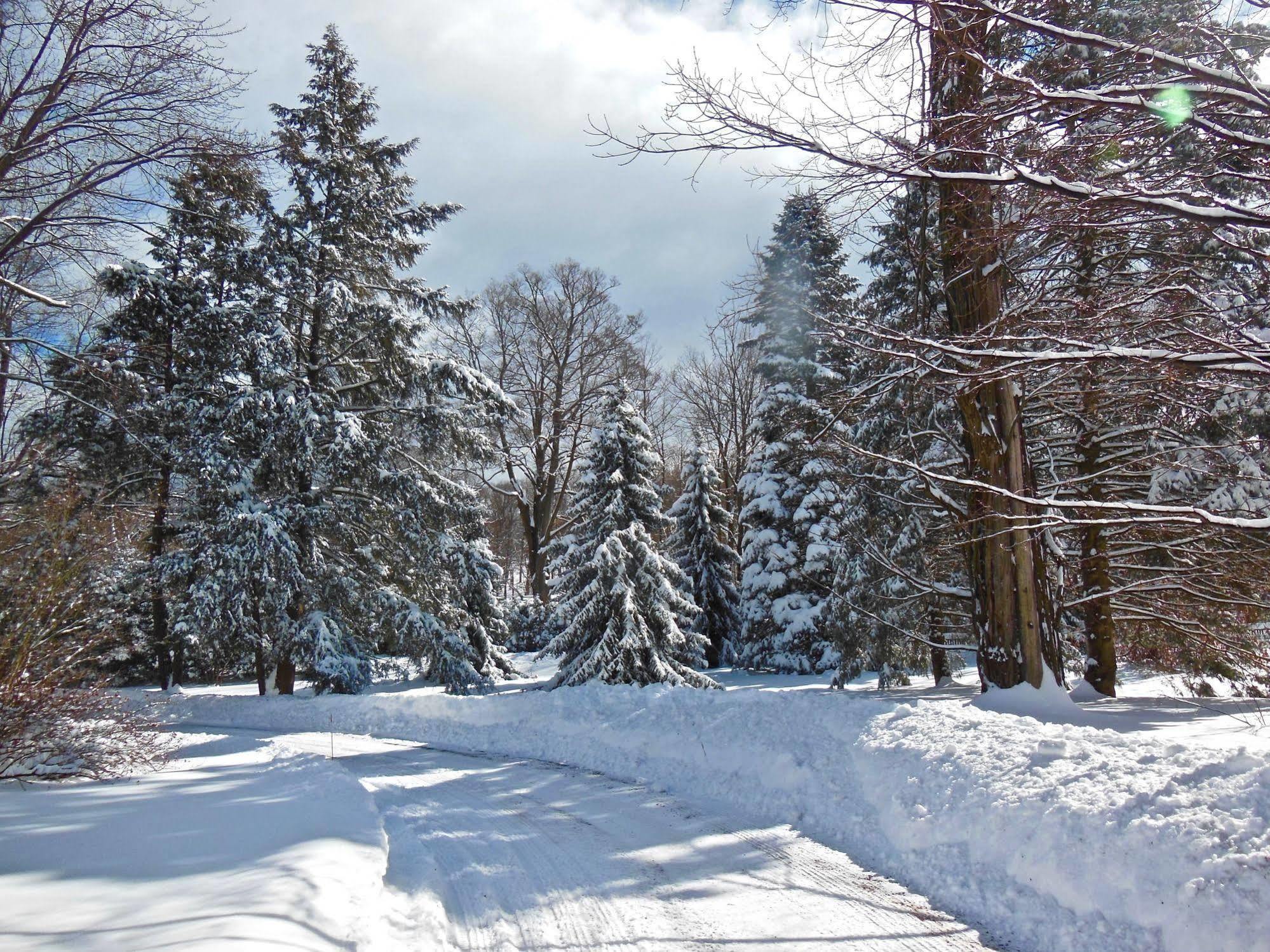 Millbrook Country House Buitenkant foto